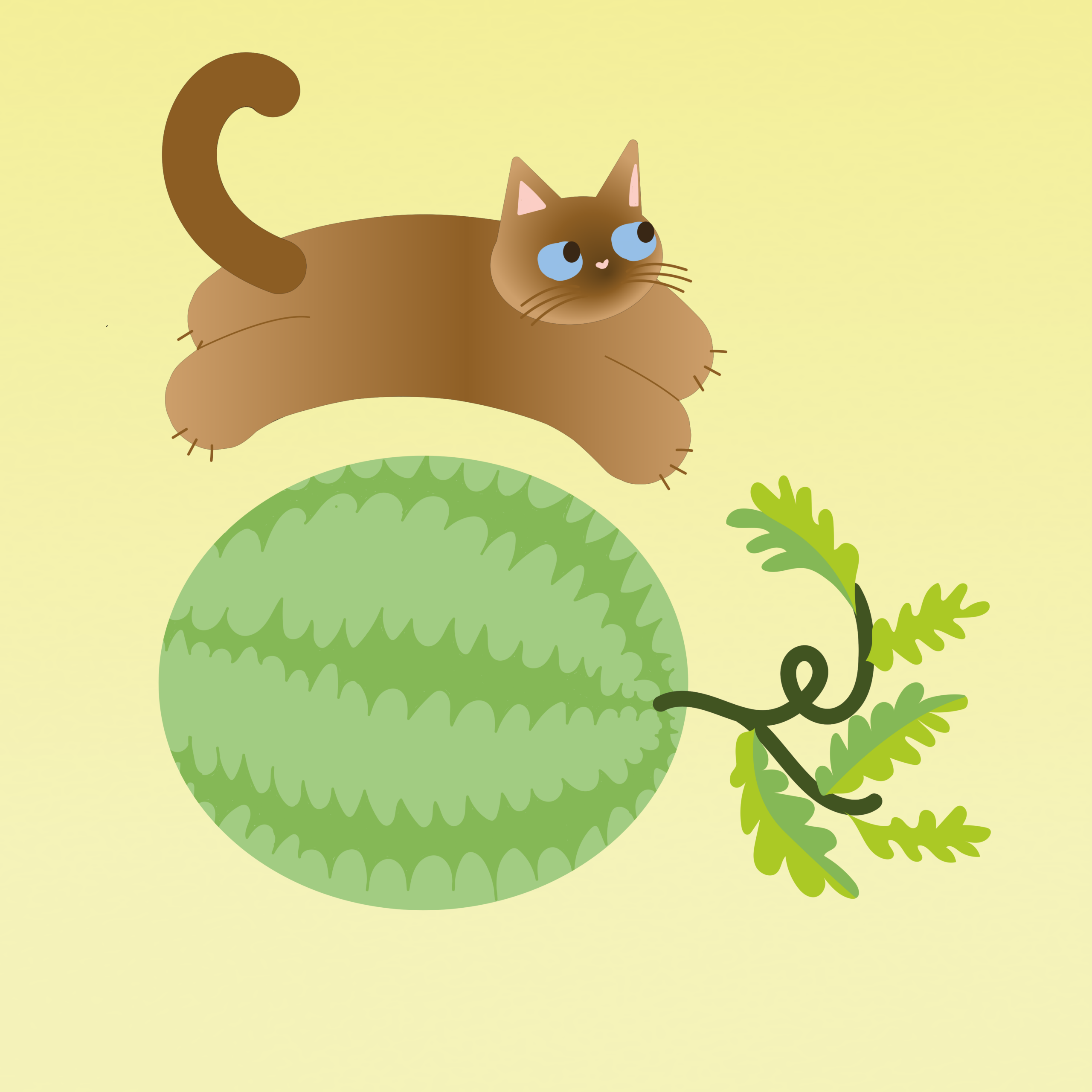 semangka kucing